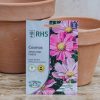 Plants Mr Fothergills Seeds | Cosmos Sensation Pinkie Seeds