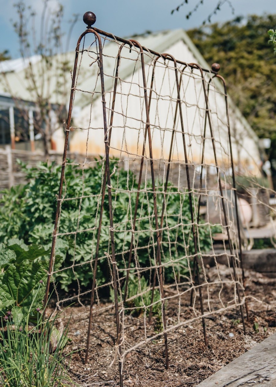 Gardening Wilstone Kadai Plant Supports | Pea Frame