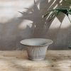 Plants Bergs Potter Pots & Planters | Grey Daisy Pots