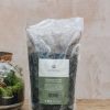 Gardening Growth Tropicals Houseplant Care | Terrarium Potting Mix