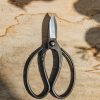 Gardening Niwaki Houseplant Care | Niwaki Sentei Garden Scissors