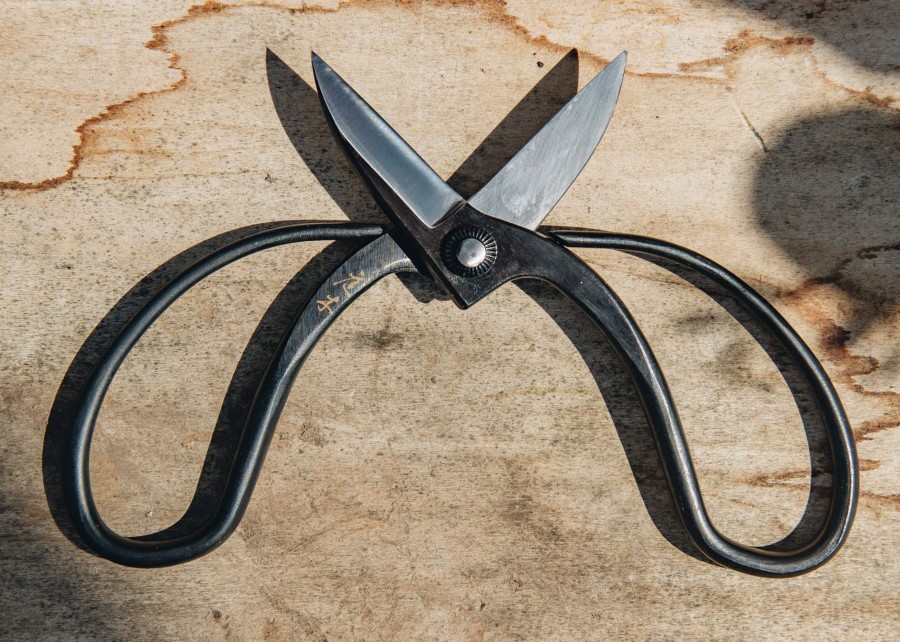 Gardening Niwaki Houseplant Care | Niwaki Sentei Garden Scissors
