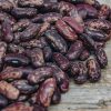 Plants Moles Seeds Pea & Bean Seeds | French Dwarf Bean 'The Prince' Seeds, 250G