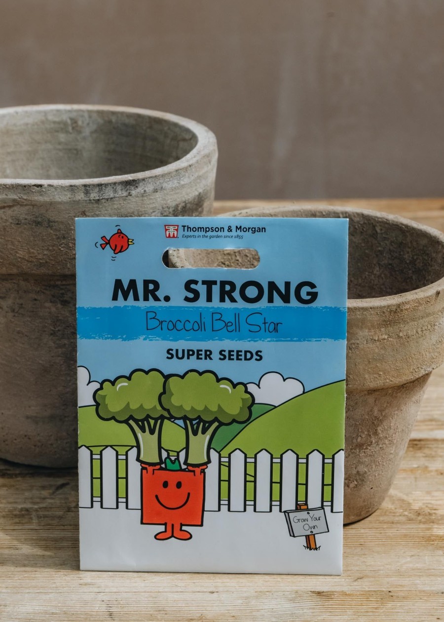 Children Thompson and Morgan Outdoor Play | Mr. Strong Broccoli Bell Star Seeds