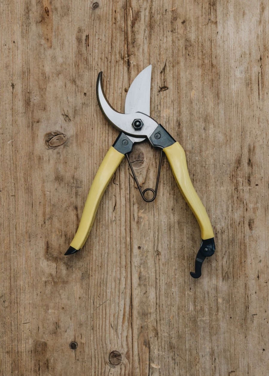 Gardening Niwaki Houseplant Care | Niwaki Mainichi Secateurs