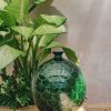 Interiors Bergs Potter Decorative | Emerald Misty Vases