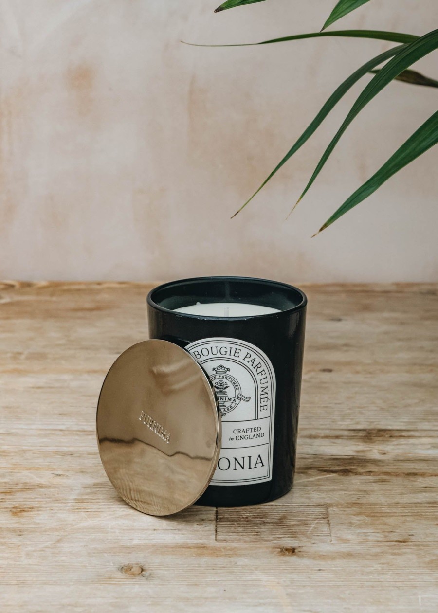 Interiors Purnima Candles & Fragrance | Purnima Boronia Classic Candle, 190G