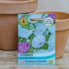Plants Thompson & Morgan Seeds | Cosmos Cupcakes Mixed Seeds