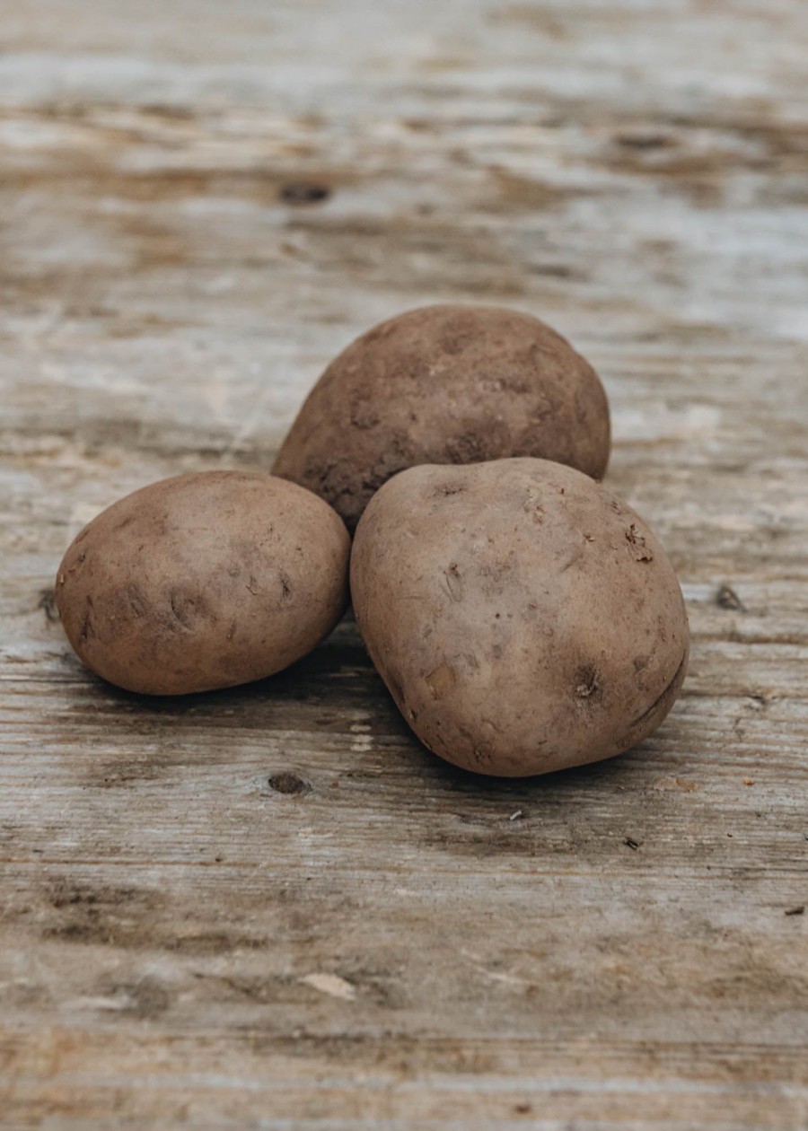Plants Taylors Bulbs Seed Potatoes | Potato 'Saxon'