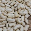 Plants Moles Seeds Pea & Bean Seeds | Runner Bean 'Equator' Seeds, 250G