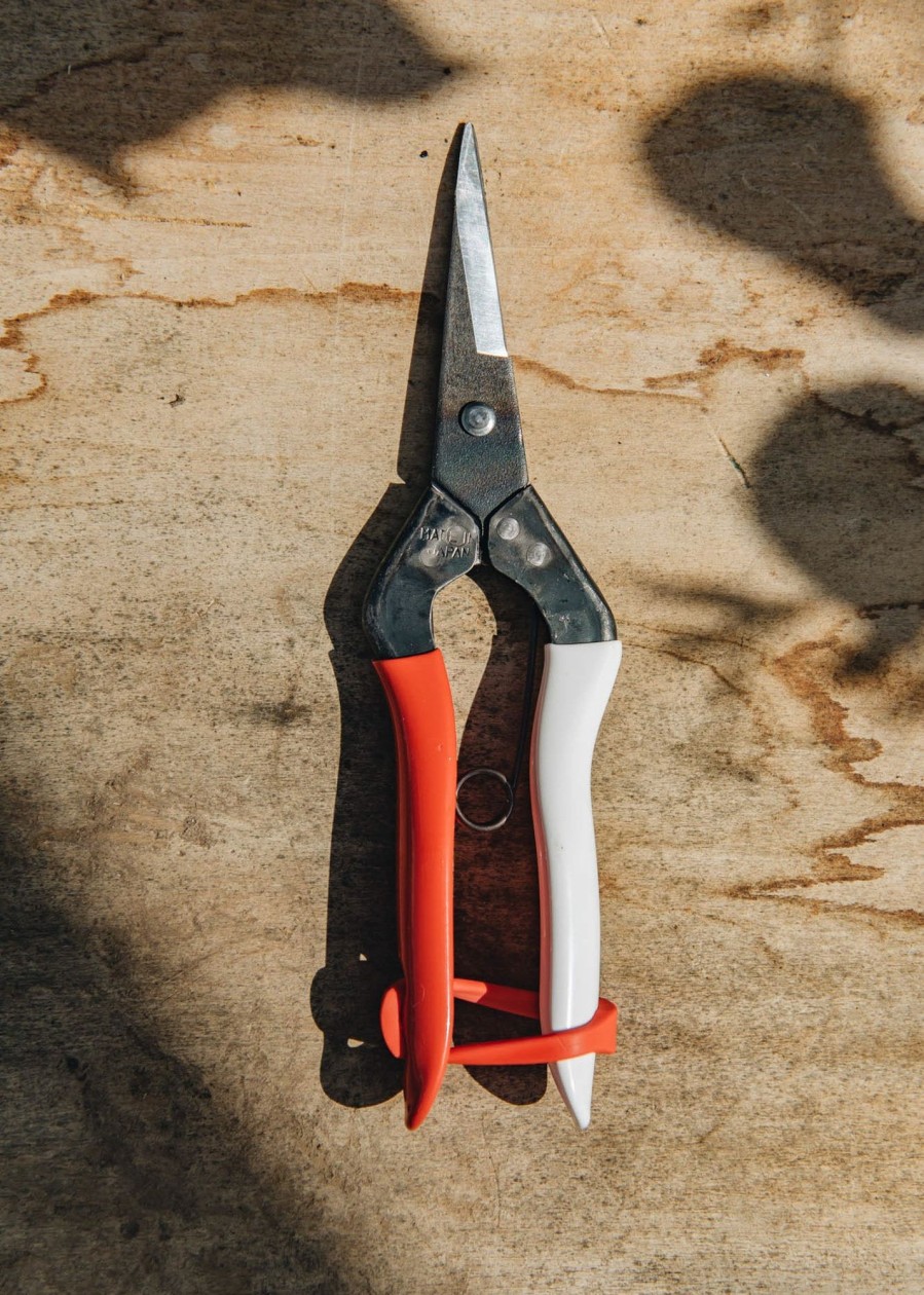Gardening Niwaki Japanese Tools | Niwaki Okatsune No. 304 Snips