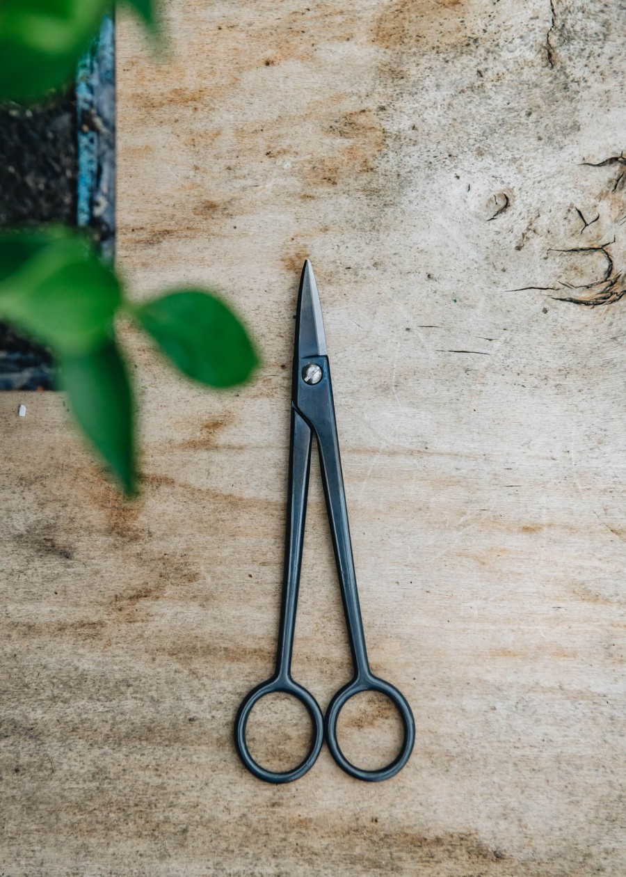 Gardening Niwaki Houseplant Care | Niwaki Kaneshin Bonsai Goyoumatsu Scissors