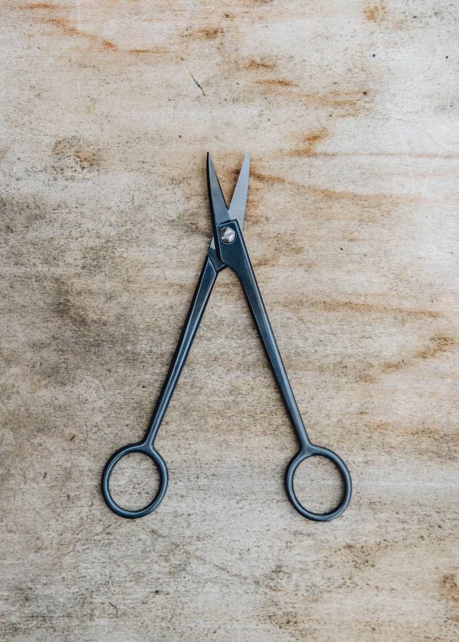 Gardening Niwaki Houseplant Care | Niwaki Kaneshin Bonsai Goyoumatsu Scissors