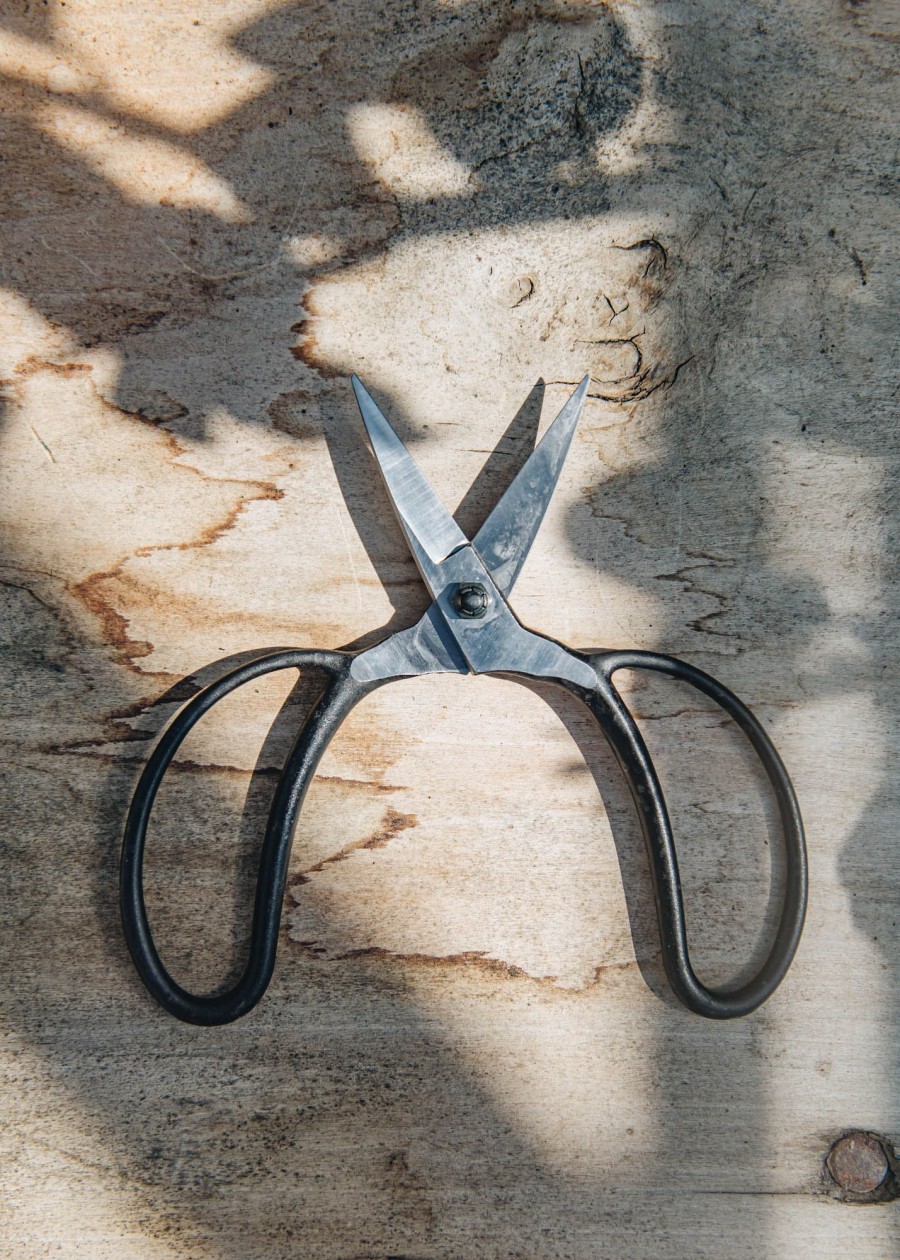 Gardening Niwaki Houseplant Care | Niwaki Okatsune Garden Scissors
