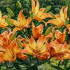 Plants Taylors Bulbs Lily Bulbs | Lilium 'Easy Fantasy', Pack Of Three Bulbs