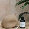 Interiors Mon Dada Candles & Fragrance | Mon Dada Down To Earth Bold Indoor Diffuser In Hazel