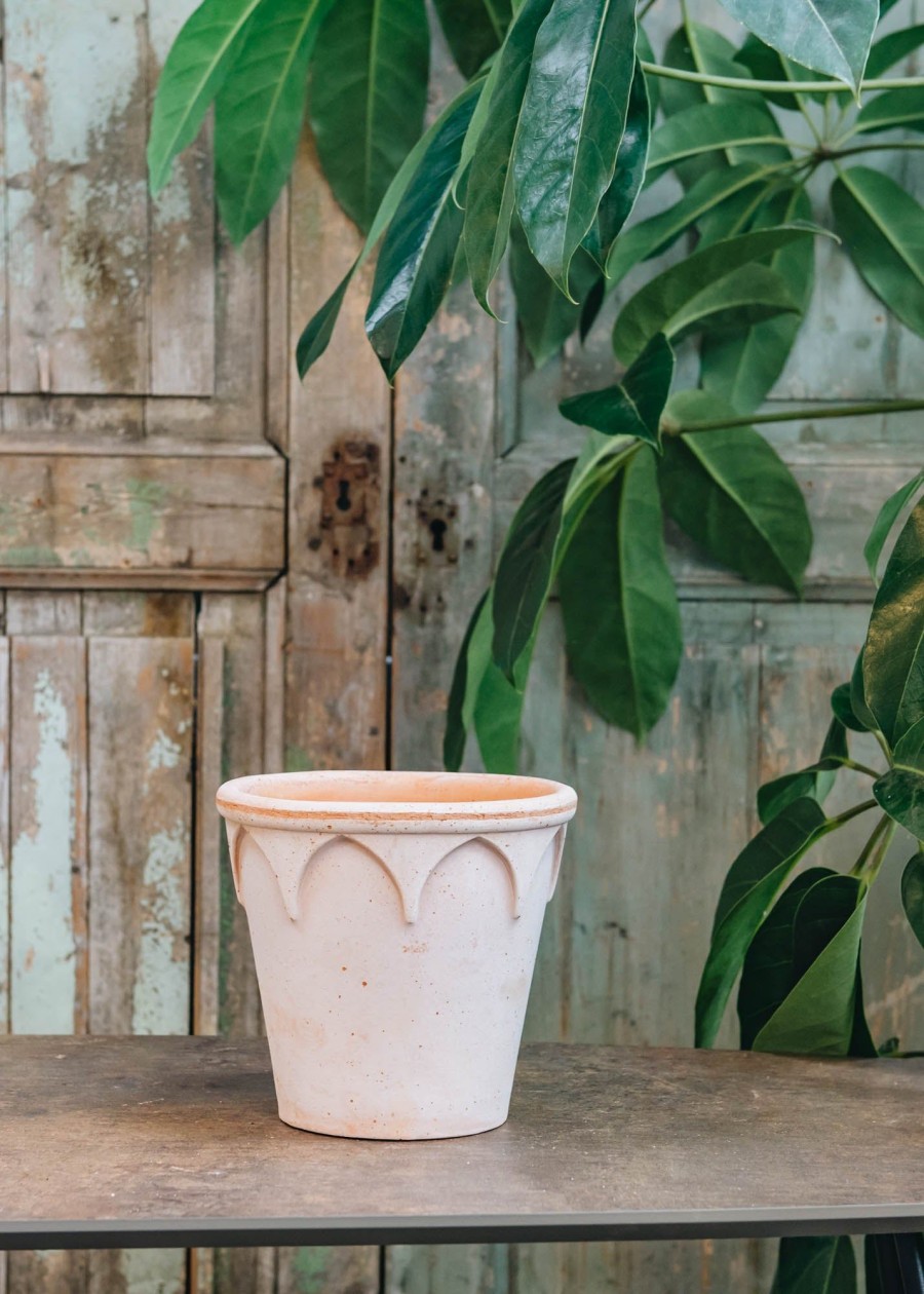 Interiors Bergs Potter Houseplants & Pots | Rosa Elizabeth Pots