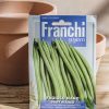 Plants Seeds of Italy Seeds | Franchi Dwarf Bean 'Boby Bianco 'Seeds