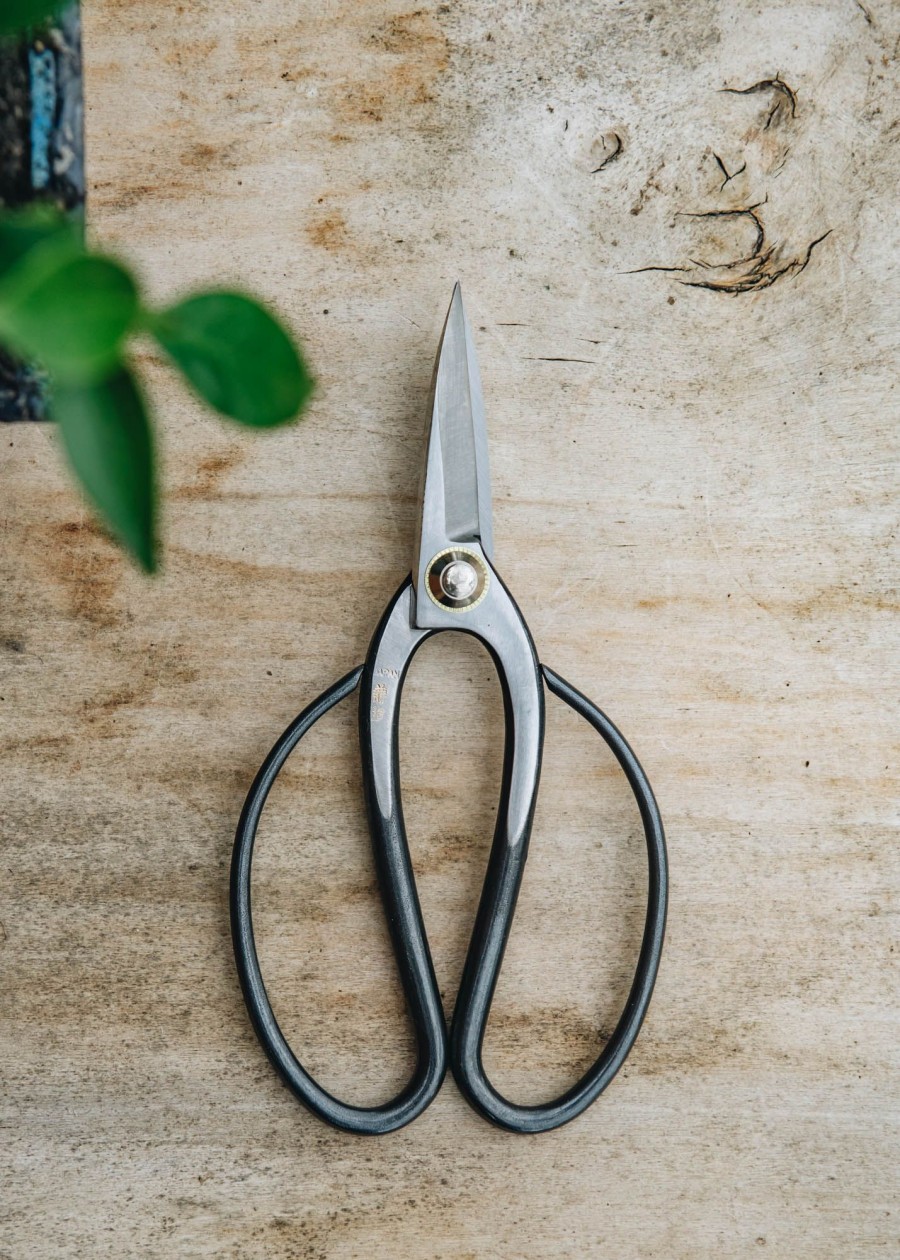 Gardening Niwaki Houseplant Care | Niwaki Kaneshin Bonsai Scissors