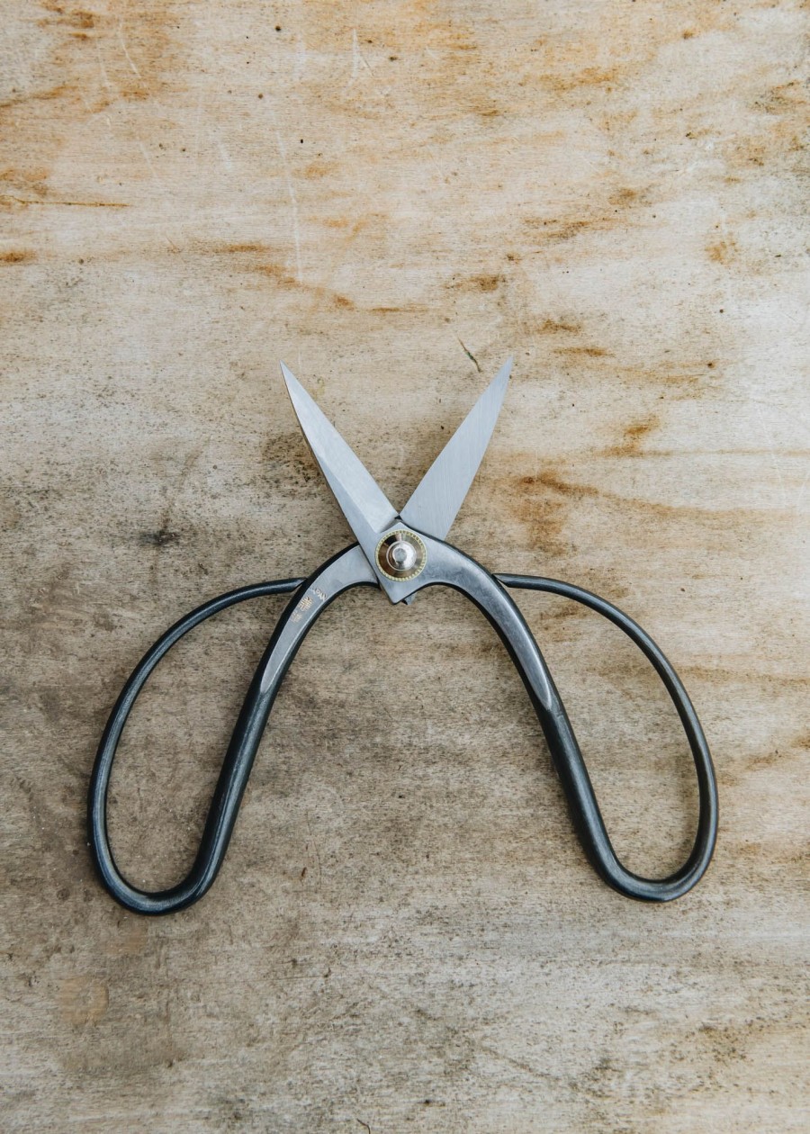 Gardening Niwaki Houseplant Care | Niwaki Kaneshin Bonsai Scissors