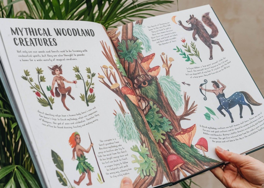 Children Children's Books Books | Lore Of The Land: Folklore And Wisdom From The Wild Earth
