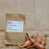 Plants Taylors Bulbs Onion, Shallot And Garlic Sets | Shallot 'Menhir', Pack Of 10 Sets