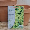 Plants Mr Fothergills Seeds | Alchemilla Mollis Seeds