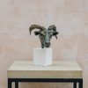 Art Burford Gallery Sculpture | Mr Power' - Head Of A Ram On Portland Stone Plinth