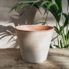 Interiors Bergs Potter Houseplants & Pots | Rosa Julie Pots