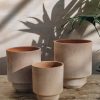 Interiors Bergs Potter Houseplants & Pots | Rosa Hoff Pots