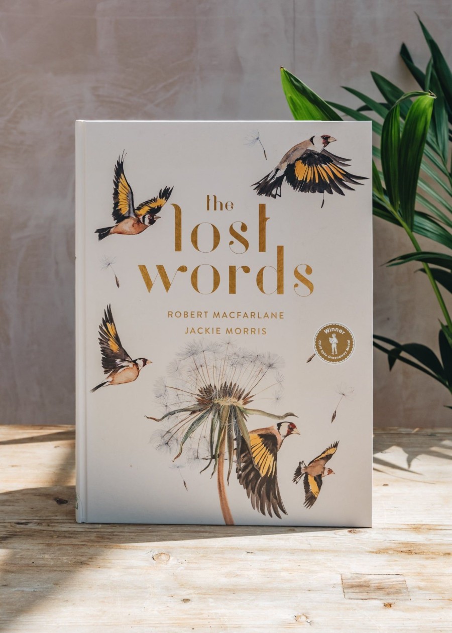 Children Children's Books Books | The Lost Words