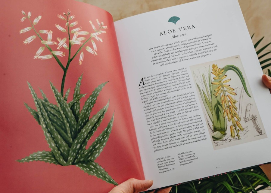 Books Burford Garden Co. Garden & Plants Books | The English Gardener'S Garden