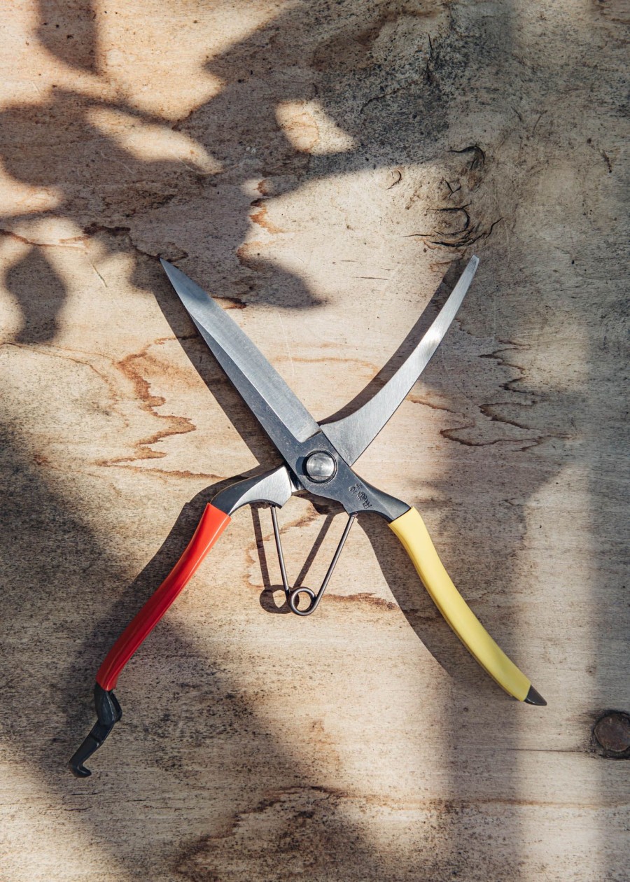 Gardening Niwaki Japanese Tools | Niwaki Tobisho Barracuda Clippers