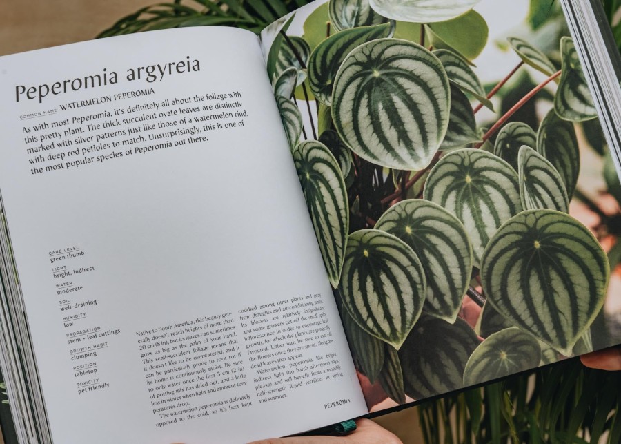Books Garden and Plants Books Garden & Plants Books | Plantopedia By Lauren Camilleri & Sophia Kaplan