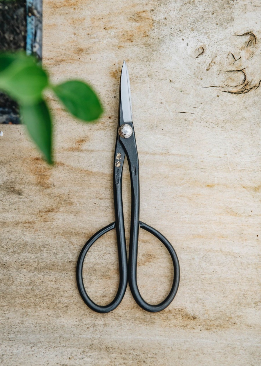Gardening Niwaki Houseplant Care | Niwaki Kaneshin Bonsai Trimming Scissors