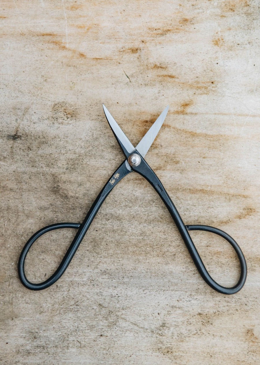 Gardening Niwaki Houseplant Care | Niwaki Kaneshin Bonsai Trimming Scissors