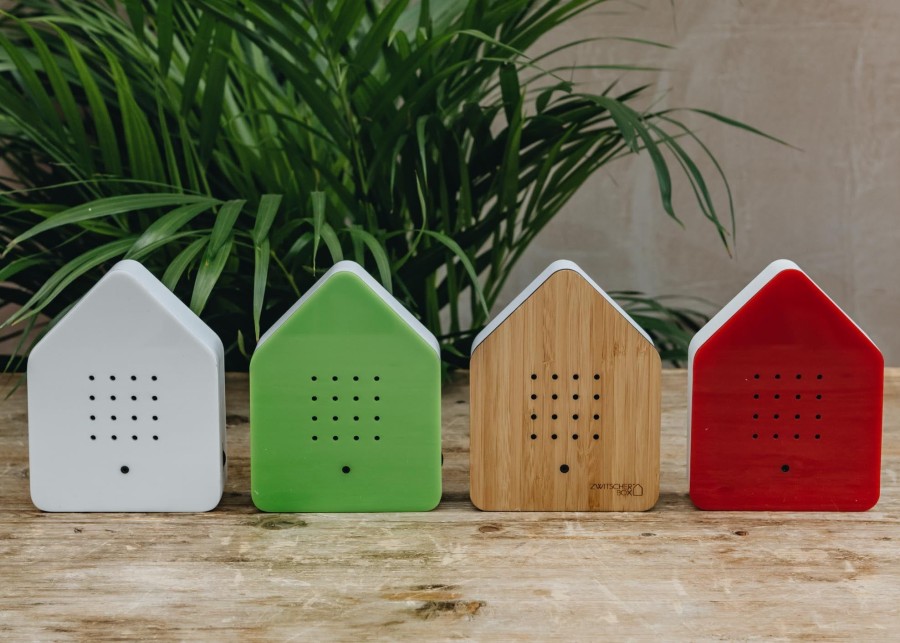 Interiors Zwitscherbox Decorative | Bird Song Boxes