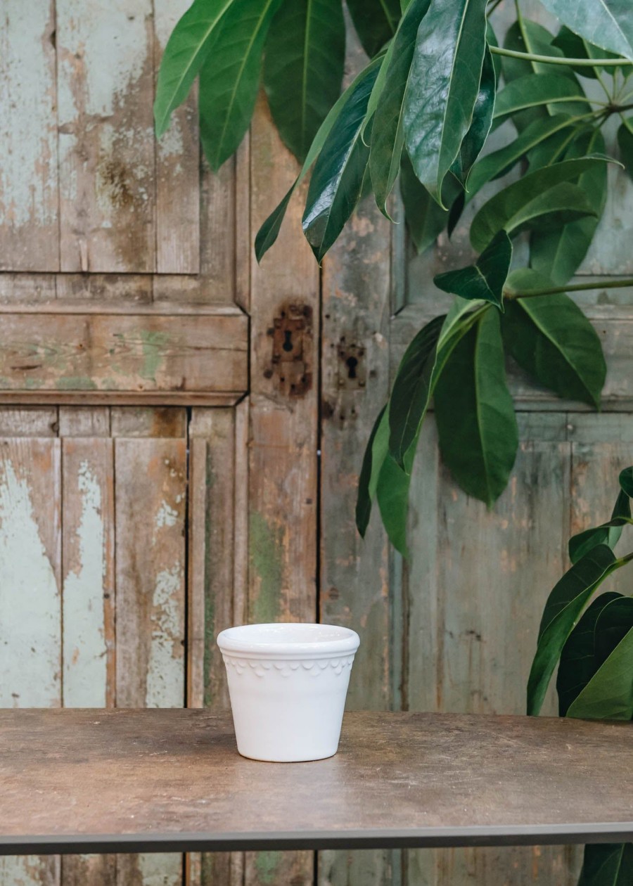Interiors Bergs Potter Houseplants & Pots | White Glazed Copenhagen Pots