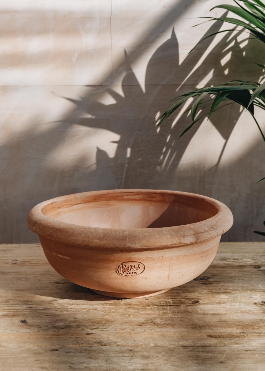 Interiors Bergs Potter Houseplants & Pots | Rose Erbe Planting Bowls