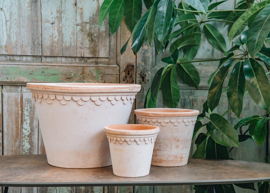 Interiors Bergs Potter Houseplants & Pots | Rosa Copenhagen Pots