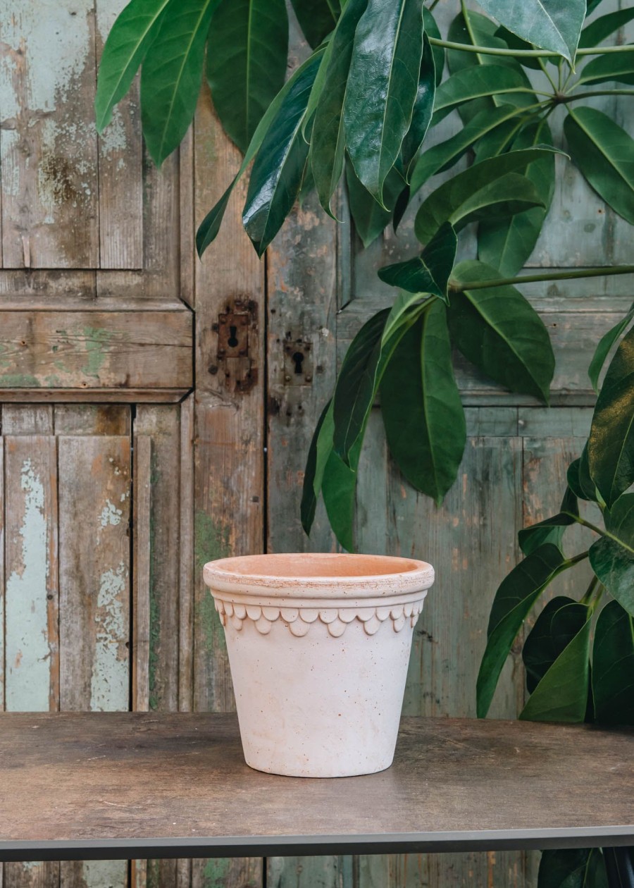 Interiors Bergs Potter Houseplants & Pots | Rosa Copenhagen Pots